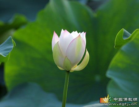 佛门有4的忌讳吗？