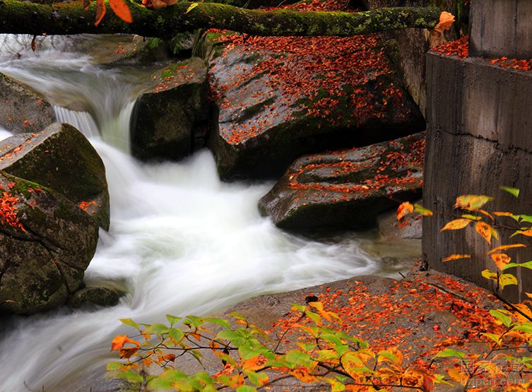 如何检验自己的身口意？