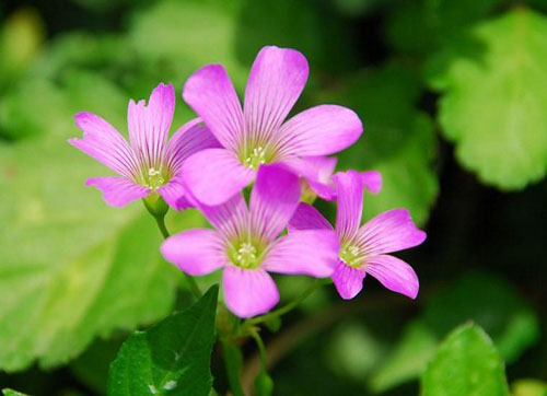 佛法为什么不灵？