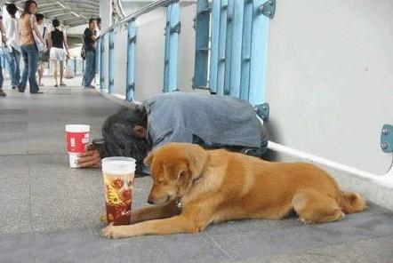 107241936.jpg (442×296)