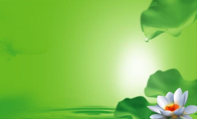 为什么恶人不得恶报