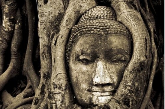 修行就要断欲去爱吗