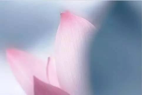 守口如瓶,是一个人最大的修行