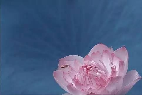 守口如瓶,是一个人最大的修行