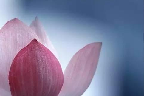 守口如瓶,是一个人最大的修行