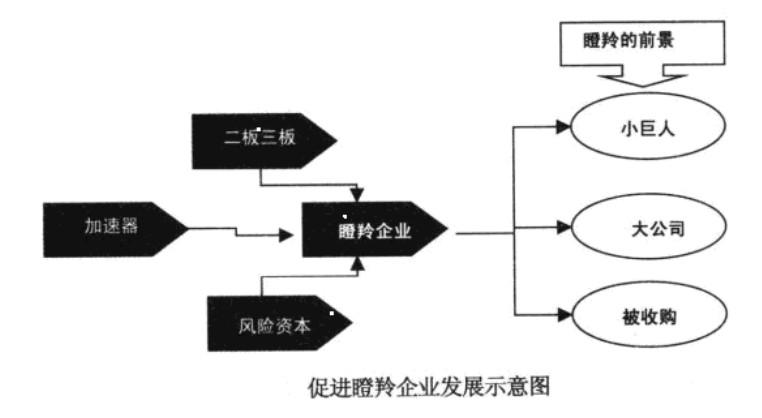 Image:促进瞪羚企业发展示意图.jpg