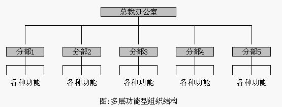 Image:多层功能组织结构.jpg