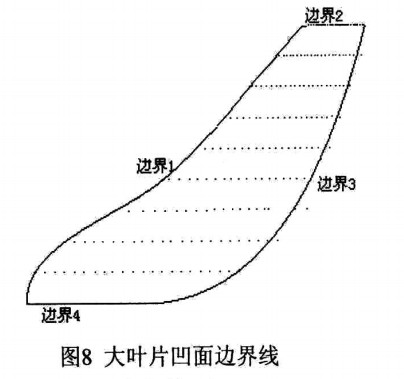 叶片凹面边界线