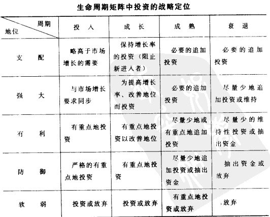 生命周期矩阵中投资的战略定位