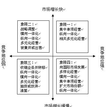 表：大战略矩阵模型